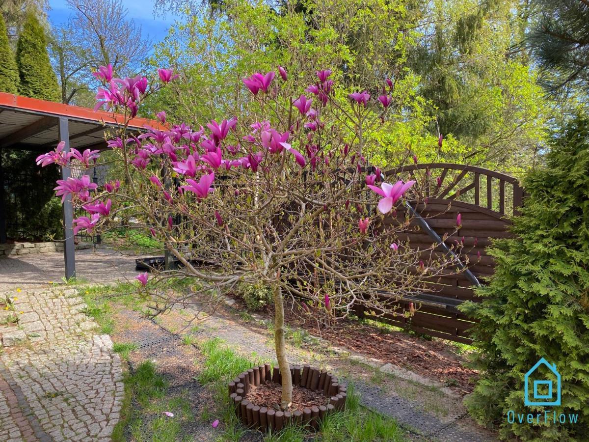 Lux - Lakefront In With Sauna & Hot Tub Only 30 Minutes From Gdansk And Gdynia Apartment *