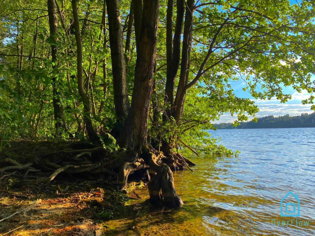 Lux - Lakefront In With Sauna & Hot Tub Only 30 Minutes From Gdansk And Gdynia Kamień